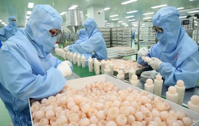 一颗珍珠的生态致富路